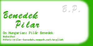 benedek pilar business card
